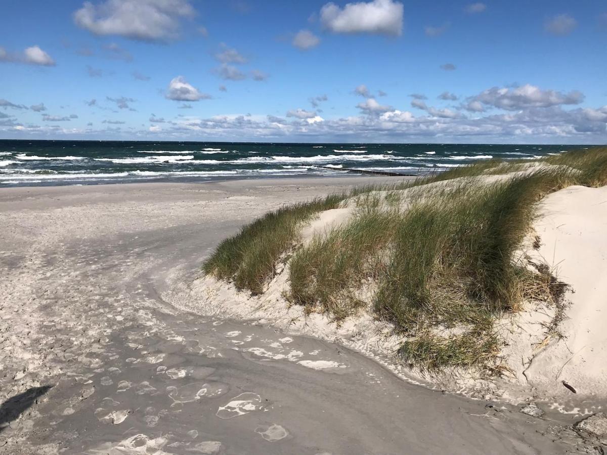 Fewo Arne - Hiddensee Ferienhaus クロスター エクステリア 写真